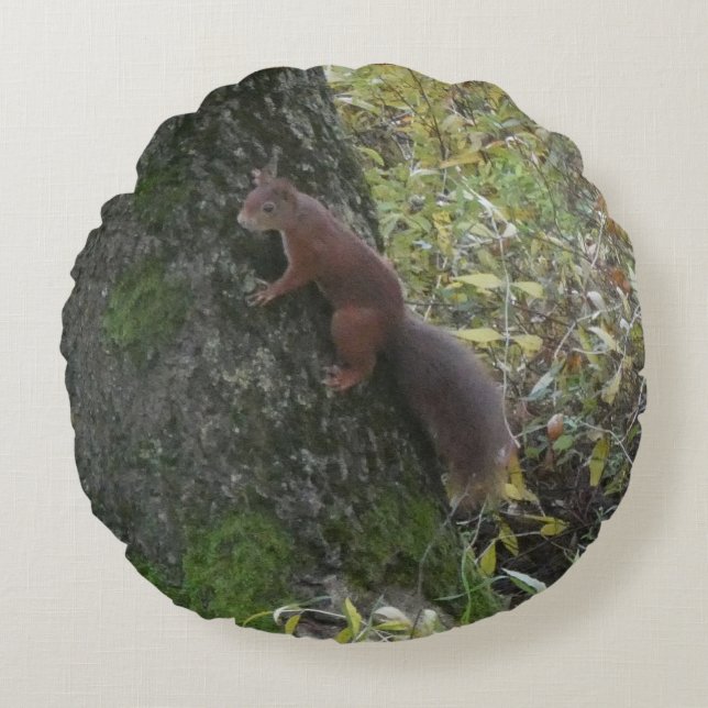 Coussins Ronds Cute Squirrel on Tree Trunk Round Pillow (Devant)