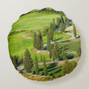 Coussins Ronds Cypress a rayé la route d'enroulement dans le