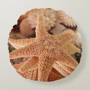 Coussins Ronds Des étoiles de mer séchées vendues comme souvenirs