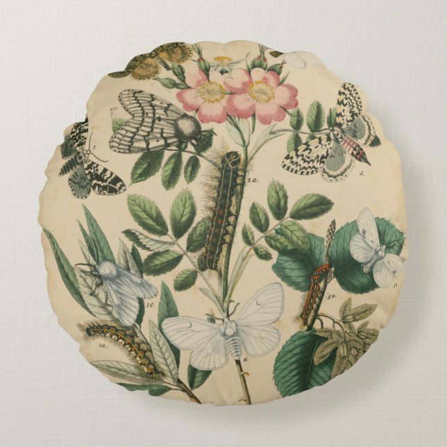 Coussins Ronds Étapes de la vie des papillons par Vision Studio (Devant)