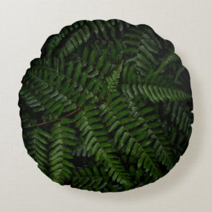 Coussins Ronds Fern plante