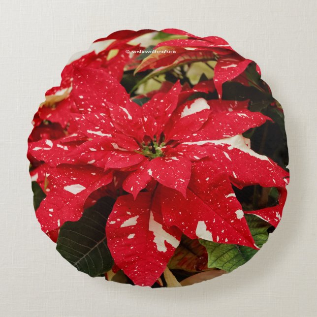 Coussins Ronds Festive Rouge Blanc Floral Poinsettia Fleurs (Devant)