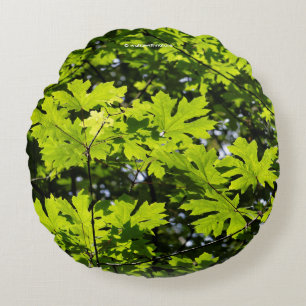 Coussins Ronds Feuilles étonnants en forêt