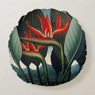 Coussins Ronds Fleurit Botanique Oiseau De Poussins Paradisiaques