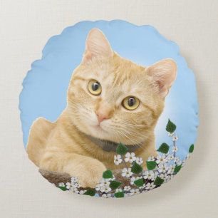 Coussins Ronds Fleurs blanches et chat tigré roux sur fond bleu c