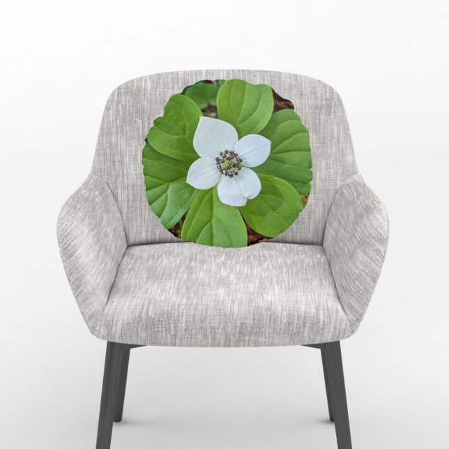 Coussins Ronds Flore de Boeuf blanc de Boeuf de Dogwood (In Situ Chair)