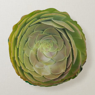 Coussins Ronds Forme de rose succulente