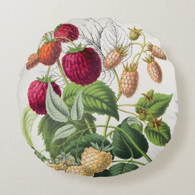 Coussins Ronds Fraise vintage (Devant)