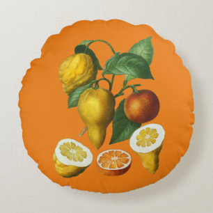 COUSSINS RONDS FRUITS DE CITRUS LÈVENT LE COULEUR