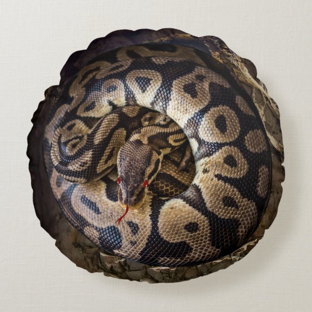 Coussins Ronds Funny Pet Python Boa Snake (Devant)