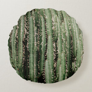 Coussins Ronds Gros plan du plante de cactus vert