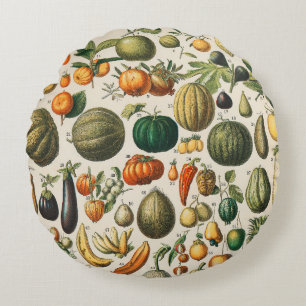 Coussins Ronds Illustration scientifique végétale des fruits