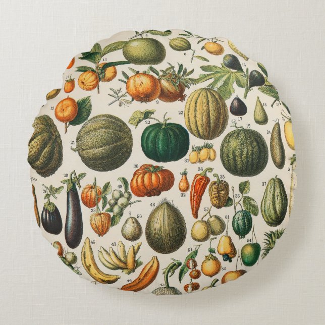 Coussins Ronds Illustration scientifique végétale des fruits (Devant)