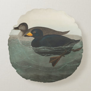 Coussins Ronds Impression de Macreuse noire d'Audubon : Canard cô