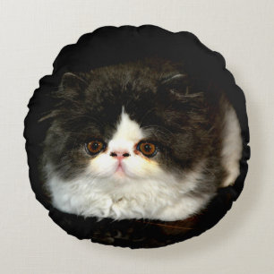 Coussins Ronds jolie photo noir blanc chaton chat ragdoll