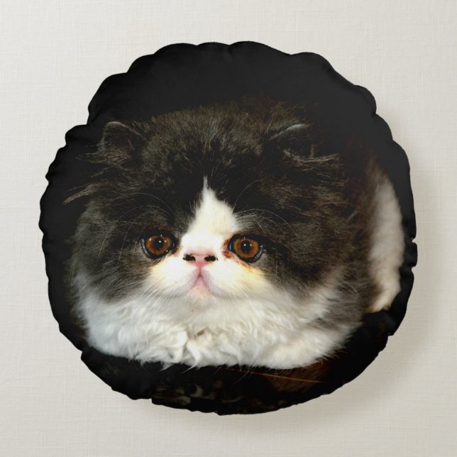 Coussins Ronds jolie photo noir blanc chaton chat ragdoll (Devant)