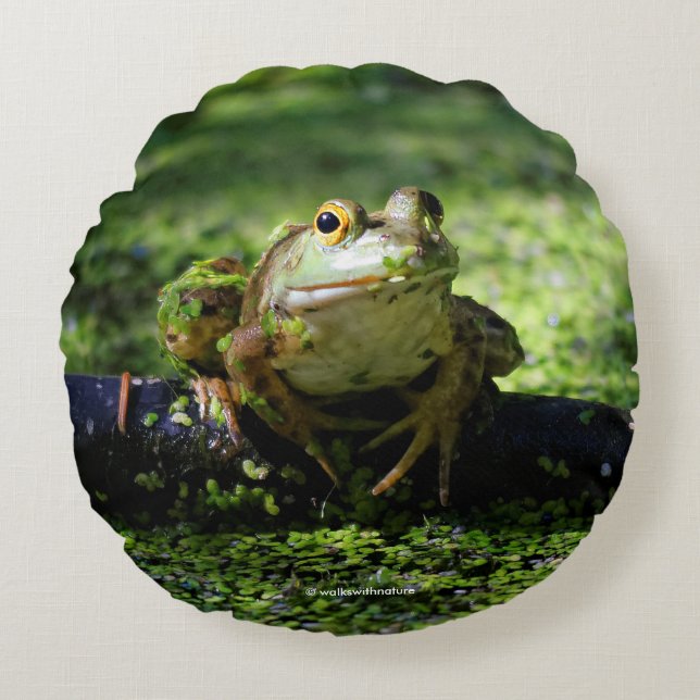 Coussins Ronds La grenouille verte frappe un pot sur le tuyau (Devant)