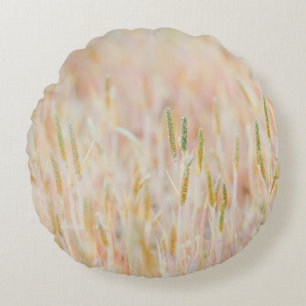 COUSSINS RONDS LA TERRE DE PÂTE A ÉTÉ TRANSFORMÉE EN PASTEL-C