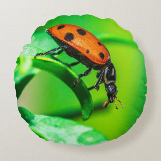 Coussins Ronds Ladybug Macro Round Throw Pillow Nature Decor