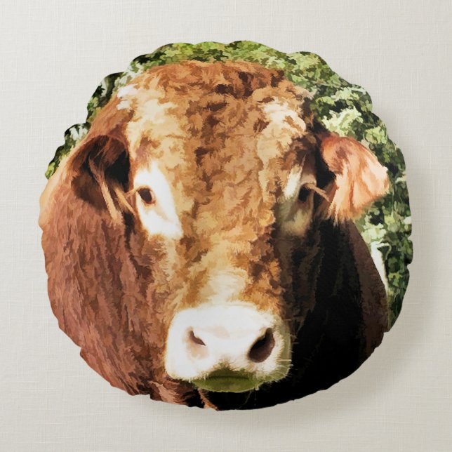 COUSSINS RONDS LE BULL (Devant)