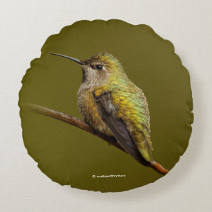 Coussins Ronds Le colibri d'Anna sur la Trumpetvine écarlate
