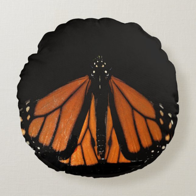 Coussins Ronds Le papillon Monarque dans la clé d'Orange (Devant)