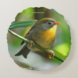 Coussins Ronds Leiothrix coloré / Pekin Robin Songbird