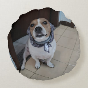 Coussins Ronds Léo le jack russell doux et amical
