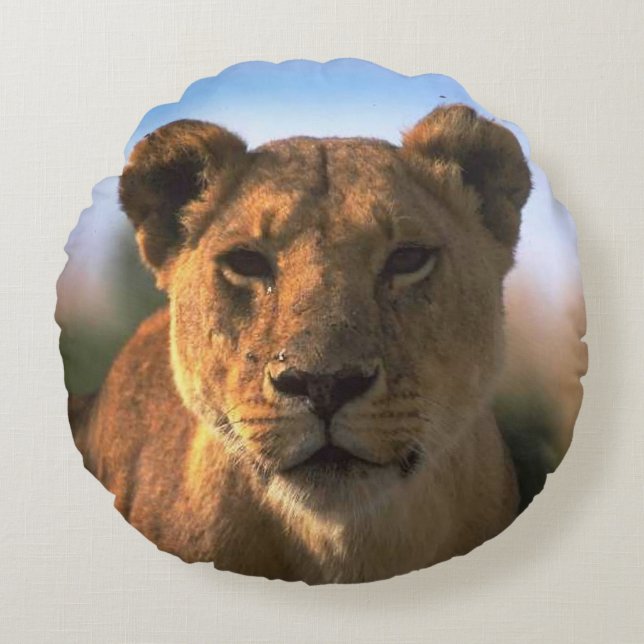 Coussins Ronds Les amateurs de lionnes Jungle (Devant)