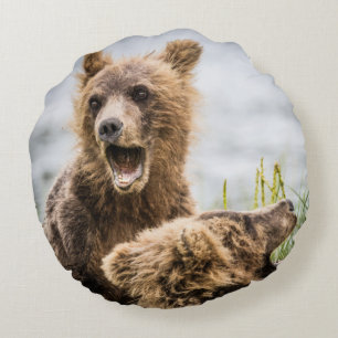Coussins Ronds Les Cubs Grizzly À La Recherche De Leur Maman
