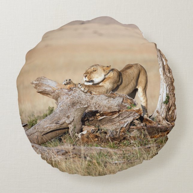 Coussins Ronds Lioness stretching (Dos)