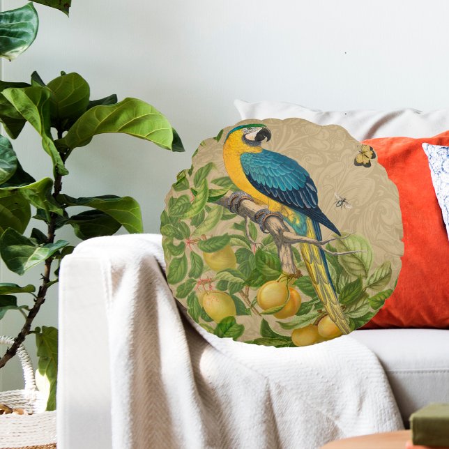 Coussins Ronds Macaw Blue Jaune Tropical Jungle Antique (Blue and Yellow Macaw)