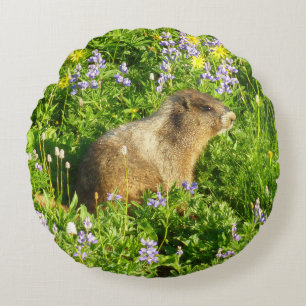 Coussins Ronds Marmot dans le Mont Rainier Fleurs sauvages