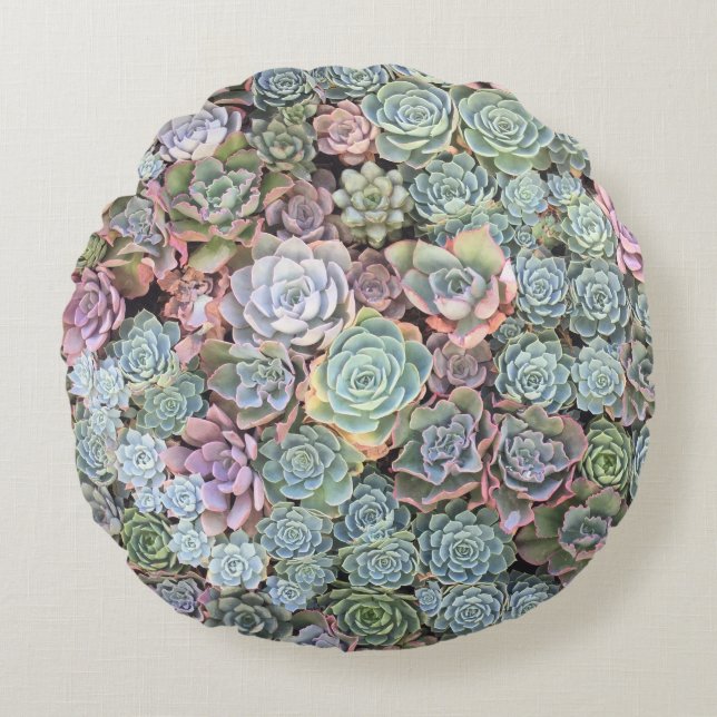 Coussins Ronds Mélange succulent Sempervivum de jardin (Devant)