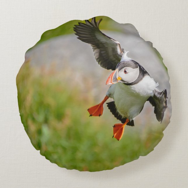Coussins Ronds Oiseau de macareux atlantique volant autour du (Dos)