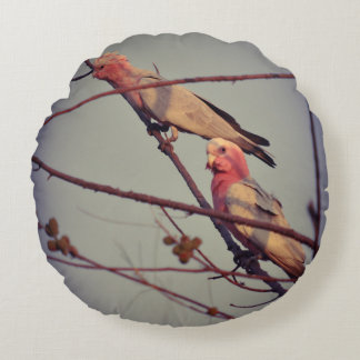 Coussins Ronds Oiseaux de Galah dans l'arbre2