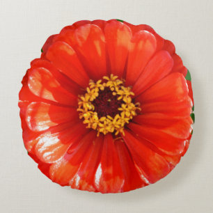 Coussins Ronds Orange Zinnia