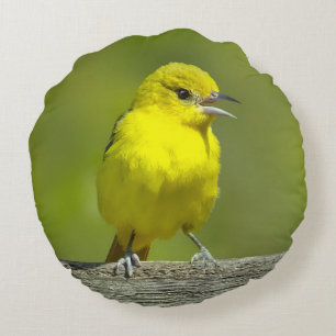 Coussins Ronds Orchard Oriole - Photo originale