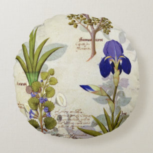 Coussins Ronds Orchidée et Fumitory ou Hedera et iris de