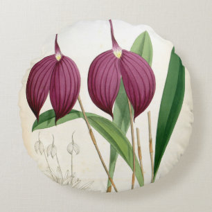 Coussins Ronds Orchidée violette profonde Vintage Masdevallia Har