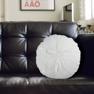 Coussins Ronds Oreiller rond jeté Dollar de sable blanc