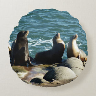 Coussins Ronds Otaries de San Diego