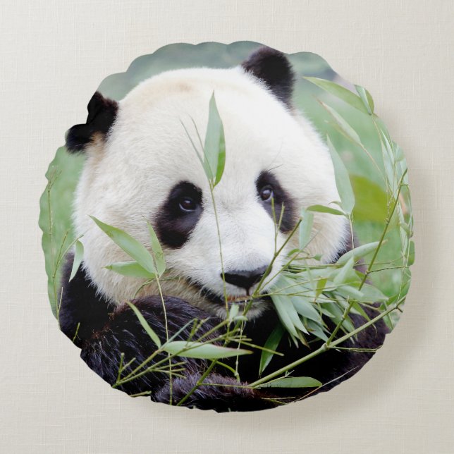 Coussins Ronds panda, le géant de la photo coussin. (Devant)