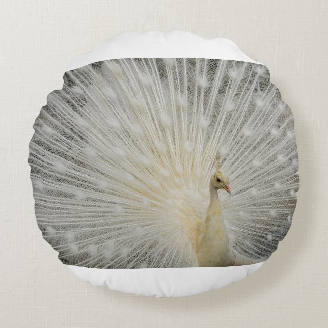 Coussins Ronds paon (Devant)