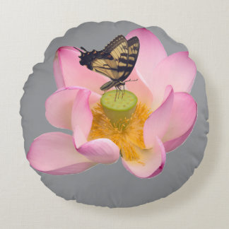Coussins Ronds Papilio glaucus