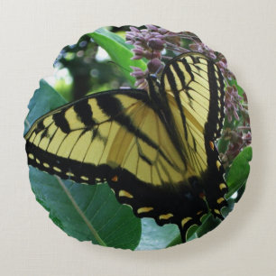 Coussins Ronds Papillon Swallowtail I sur Milkweed à Shenandoah