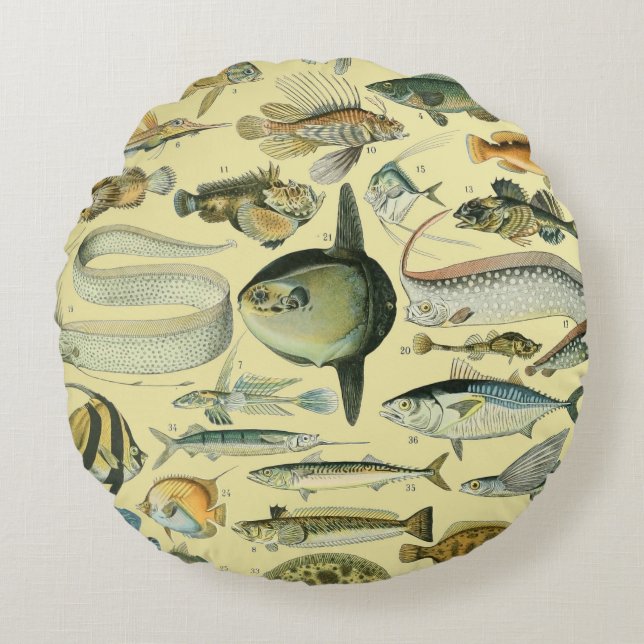 Coussins Ronds Pêche scientifique vintage (Devant)