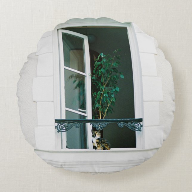 COUSSINS RONDS PLANTE VERT SUR FENÊTRE BLANCHE (Devant)