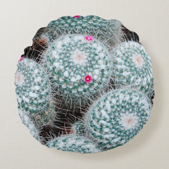 Coussins Ronds Plantes de cactus aux minuscules fleurs roses (Devant)