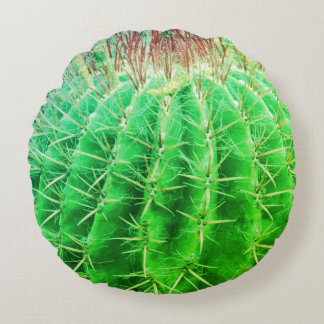 Coussins Ronds Regard Épineux Cactus Vert Naturel